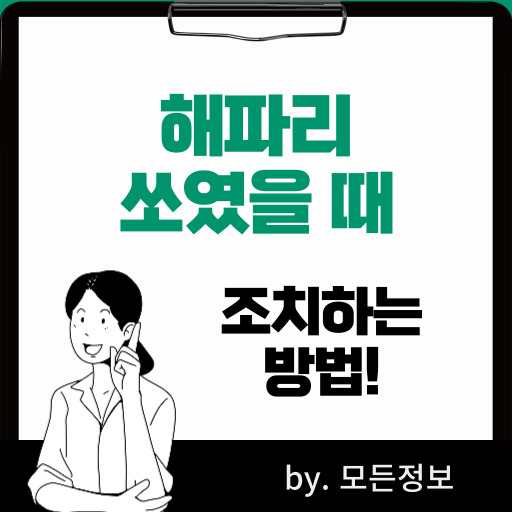 해파리에 쏘였을 때 조치 방법